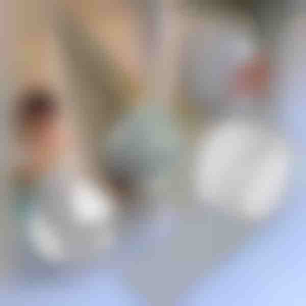 Lente odu tīklu labošanai | INSECTAPE