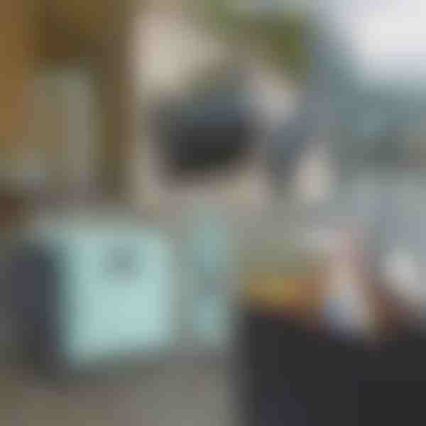 Daudzfunkcionāli ratiņi | CARRYMAX