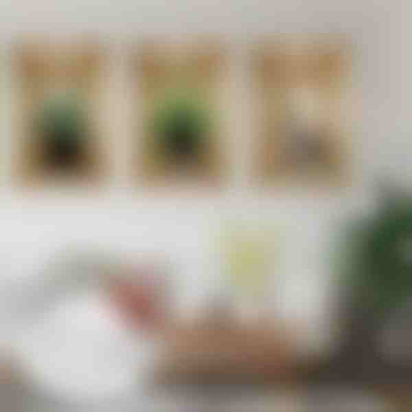 3D sienas dekorēšanas uzlīmes (3 gab.) | VASUART