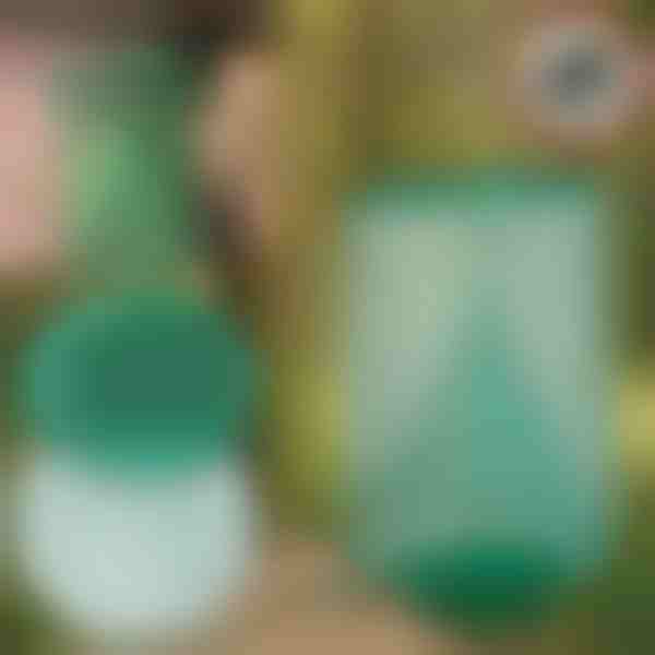 Atkārtoti lietojamas, piekaramās mušu un kukaiņu lamatas | INSECTA