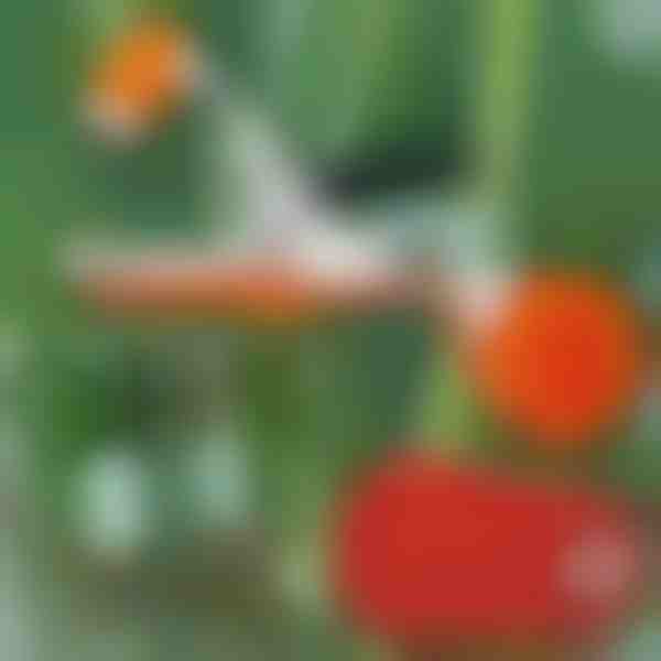 Profesionāls augu skavotājs | PLANTBRAND