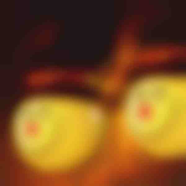 Sniegavīra gaismas vāki | SNOWKO