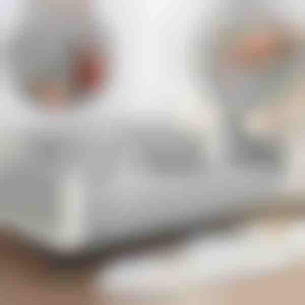 Plīša dīvāna pārvalks | VELVECO