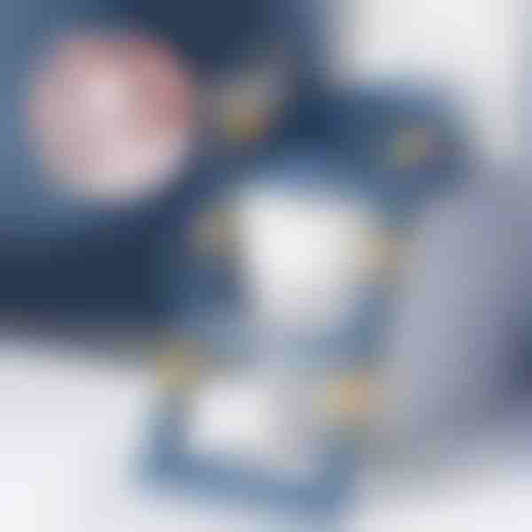 Bērnu tualetes poda sēdeklis ar pakāpieniem | KIDDISTEP