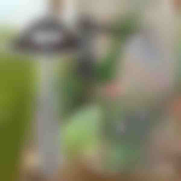 Dārza kaplis vieglai nezāļu izraušanai | GRASSOE