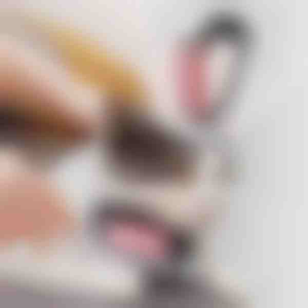 Mājdzīvnieku kopšanas birste 2-in-1 | GATOBRUSH