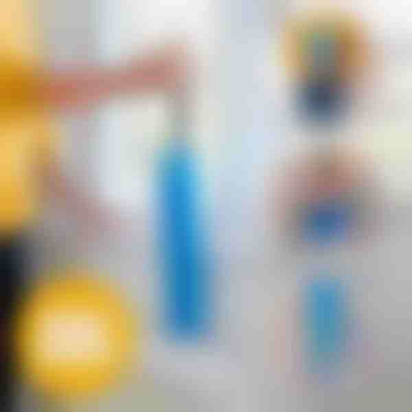 Gara putekļu slaucīšanas birste | DUSTOFF