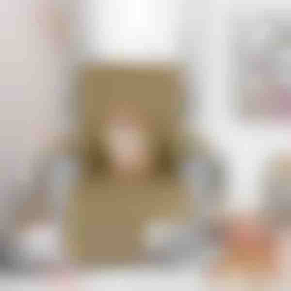 Krēsla pārvalks | LUXSIT