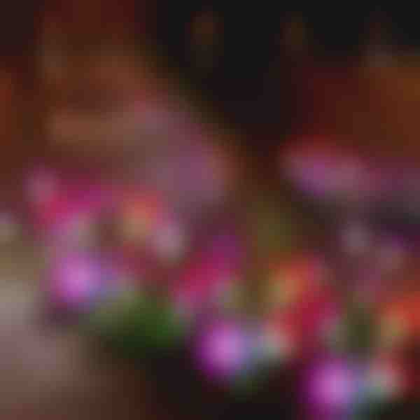 Saules dārza ziedu gaismas | BLOSSUN