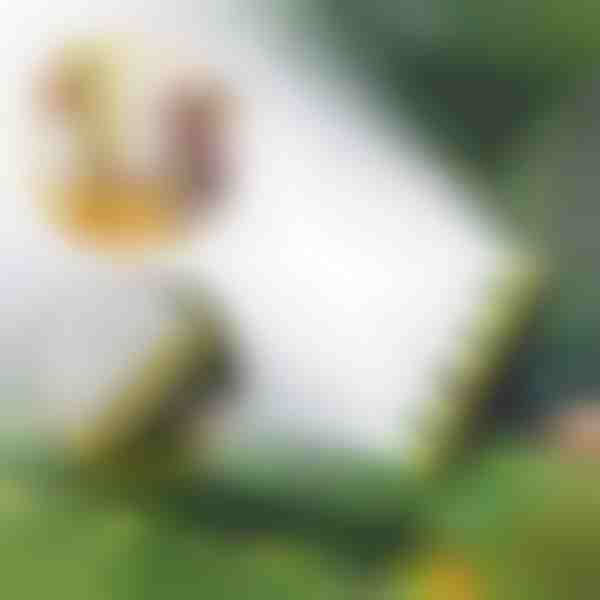 Multi uzgaļu šļūtenes smidzinātājs | SPRAYMASTER