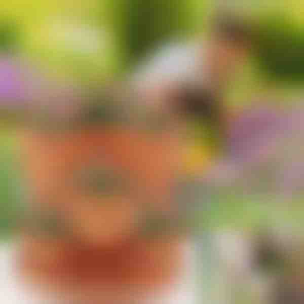 Augstumā regulējami puķu podi (3x gab.) | PLANTUP