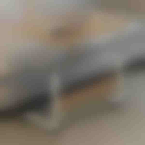 Portatīvais galds | EVOSTUL