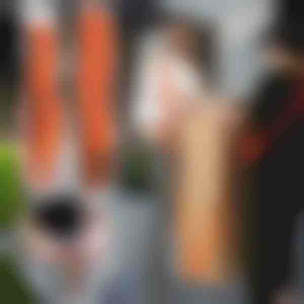 Celšanas un pārvietošanas siksnas (2 gab.) | DUOLIFTERS