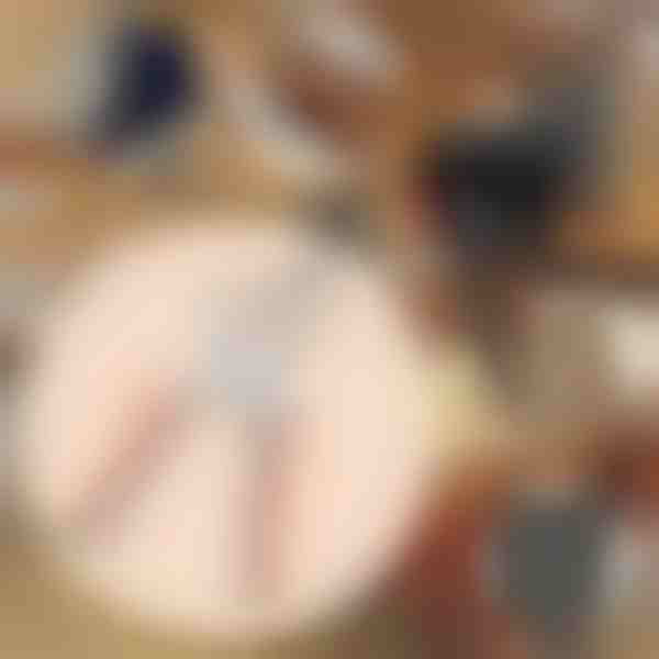 Aizbīdņu instruments, kas nodrošina drošu stiprinājumu | HOLANKO