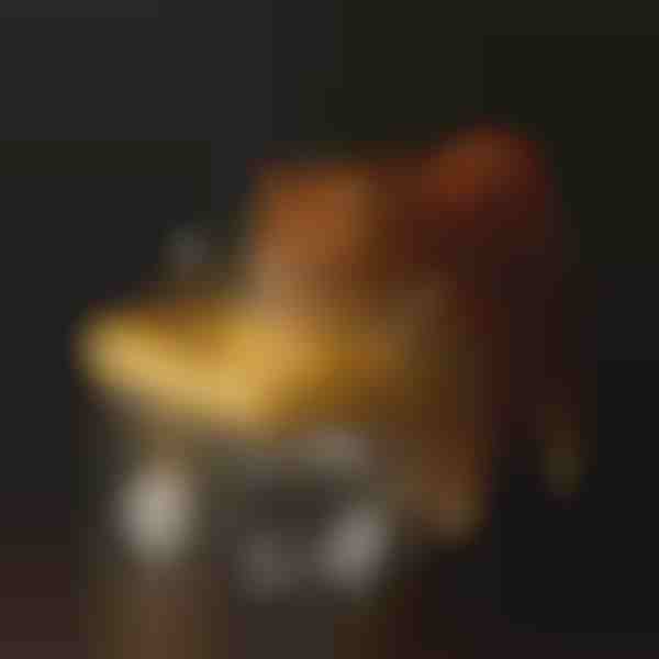 Mājdzīvnieku hidratācijas strūklaka | PETSPRINGLE