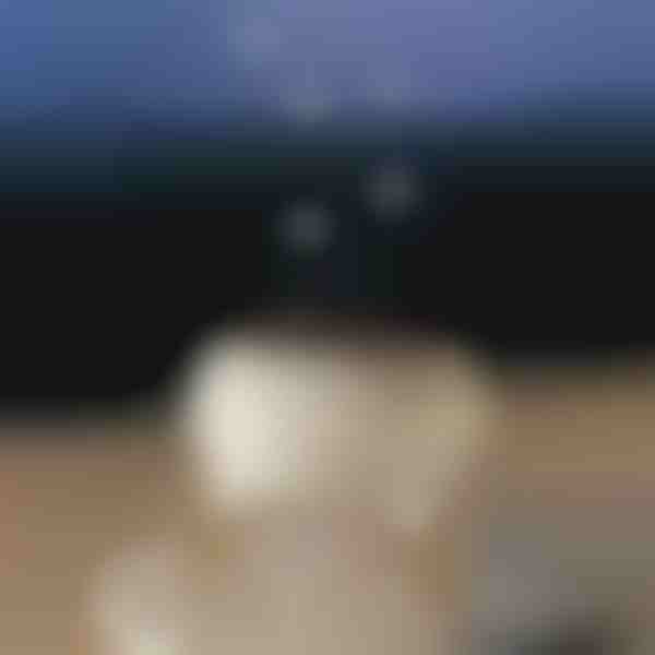 Nomierinošs aromāta difuzors | MEDUSAMIST