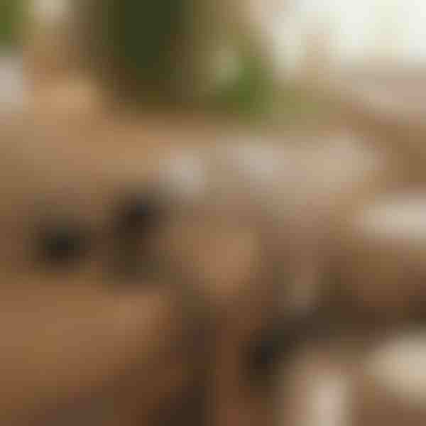 Magnētisks līmējams kabeļu organizētājs | CABLIP